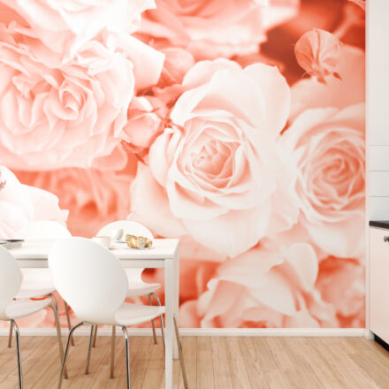 Romantikus fotótapéta halvány rózsaszín rózsavirágokkal